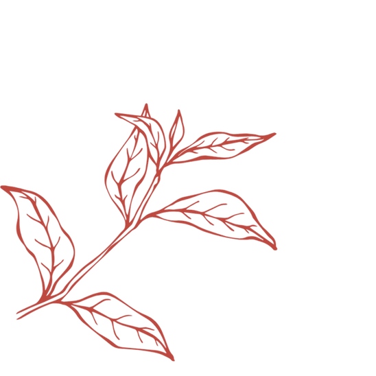 Design sans titre (3).png