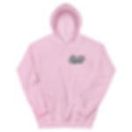 Chromatic Hoodie