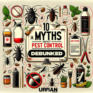 10 Myths about pest control debunked