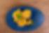 KKP (200 of 221).JPG