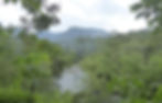 Landak-river-view-GunugLeuser-national-p