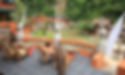 jungle-inn-outside-sitting-area