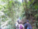 jungle trek-1-day