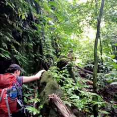 guest-trekking-karst-forest-landak-river.jpeg