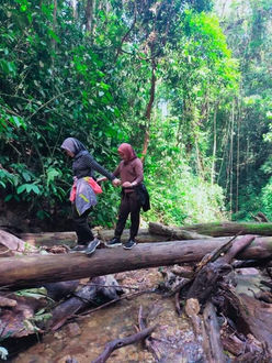 Local tourist walk along log in the jungle