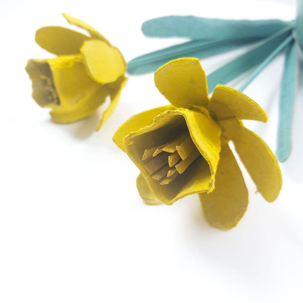 Narzisse Eierkarton papierblume basteln Frühling diy