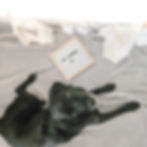 diy hund schwangerschaft verkünden lustige bilder