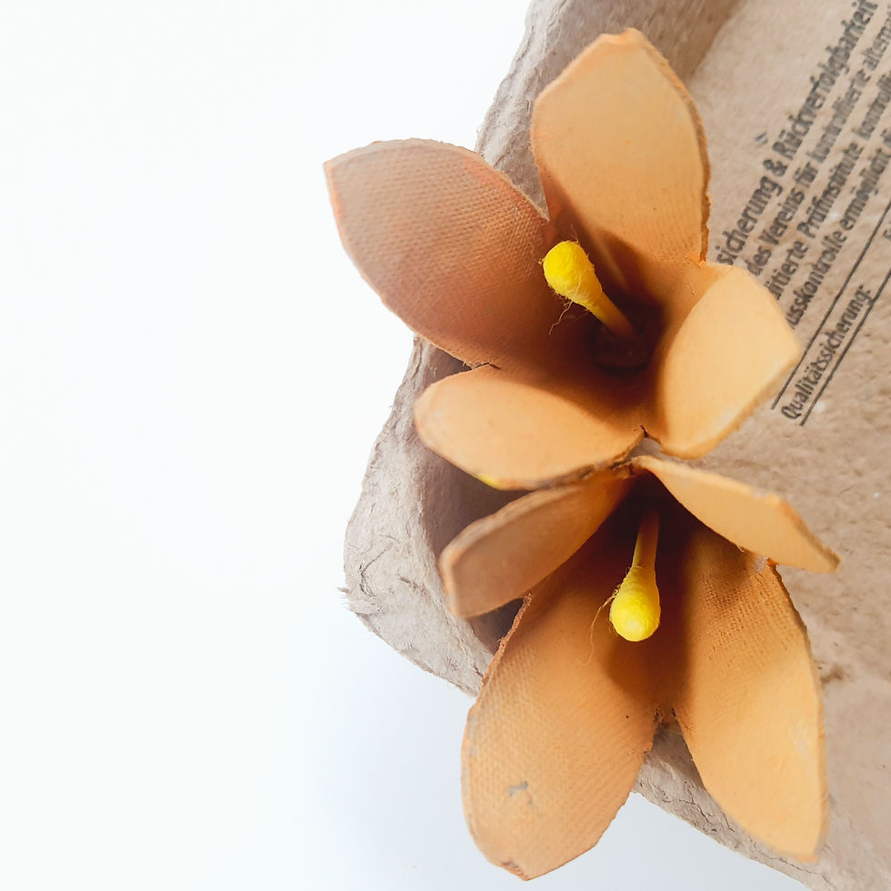 DIY Tulpe Krokus Eierkarton papierblume deko Frühling