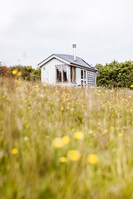 Wildflower Cabin Devon1.jpg