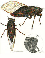 Thumbnail: Greeting cards