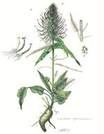 Thumbnail: Greeting cards