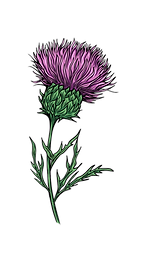 Untitled design (4)_edited.png