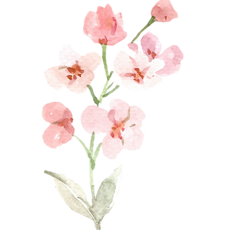 Remove Background (4)_edited.png