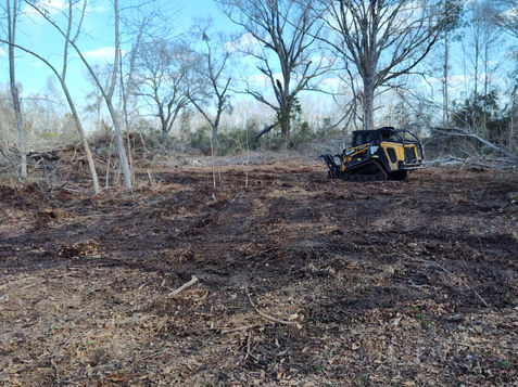 Land Clearing, Forestry Mulching, 