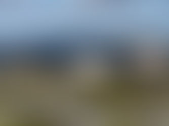 Rentierkinder in Lappland – So wachsen die kleinen Rentiere auf