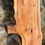 Thumbnail: Pippy Yew Table Top Planks 2100mm x 200mm x 40mm