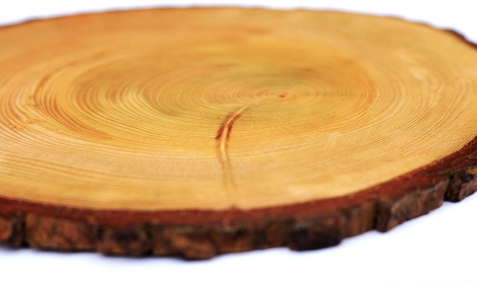 Thumbnail: CEDAR JIITA