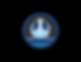 Logo Pin.png