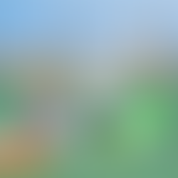 4LYMPIC (from Olympic games)