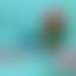 Lights, Fruits, Action!