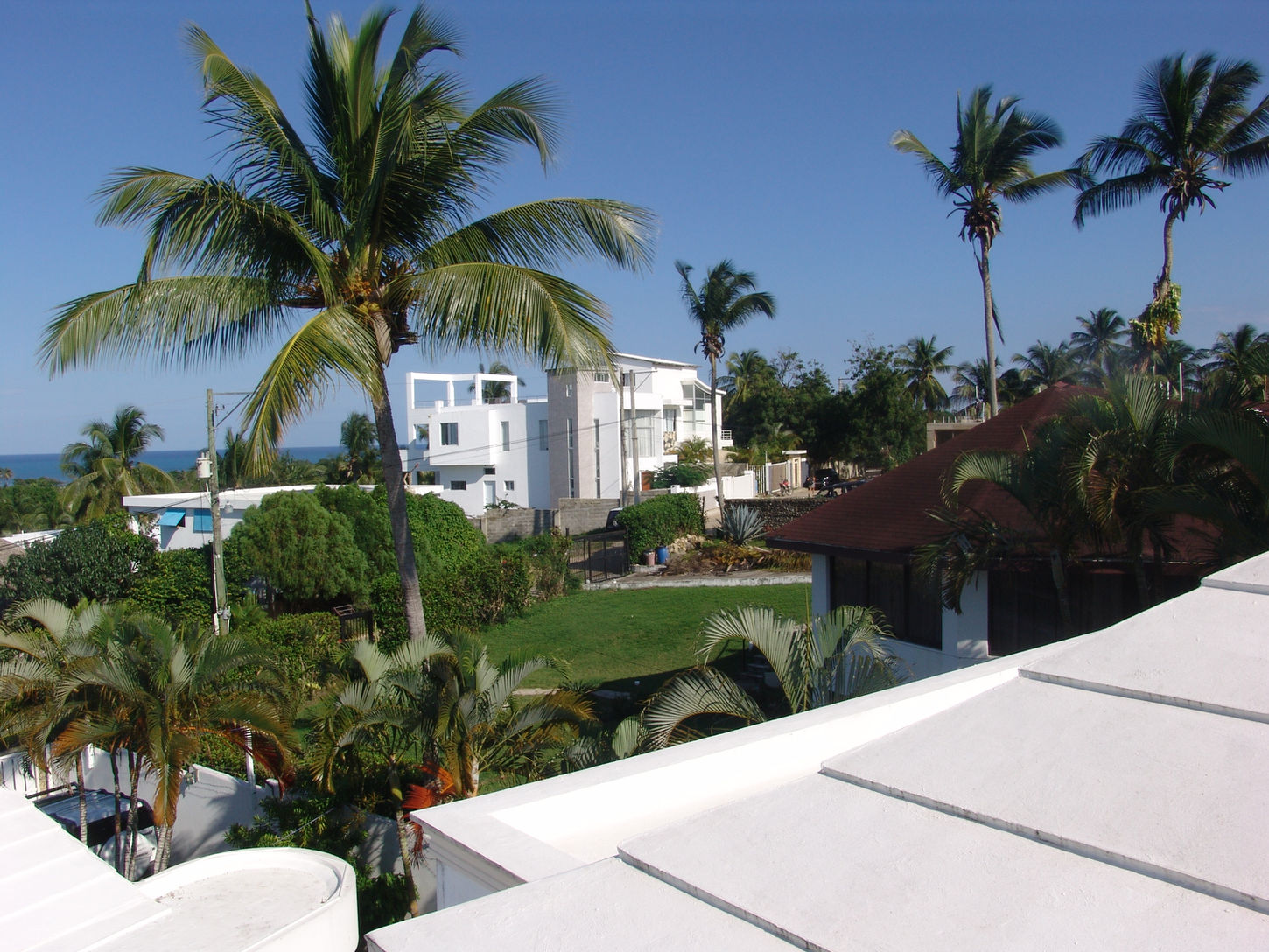 View from Rooftop Terrace