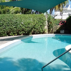 Image of kidney shaped swimming pool with 6 foot hedge in the background.