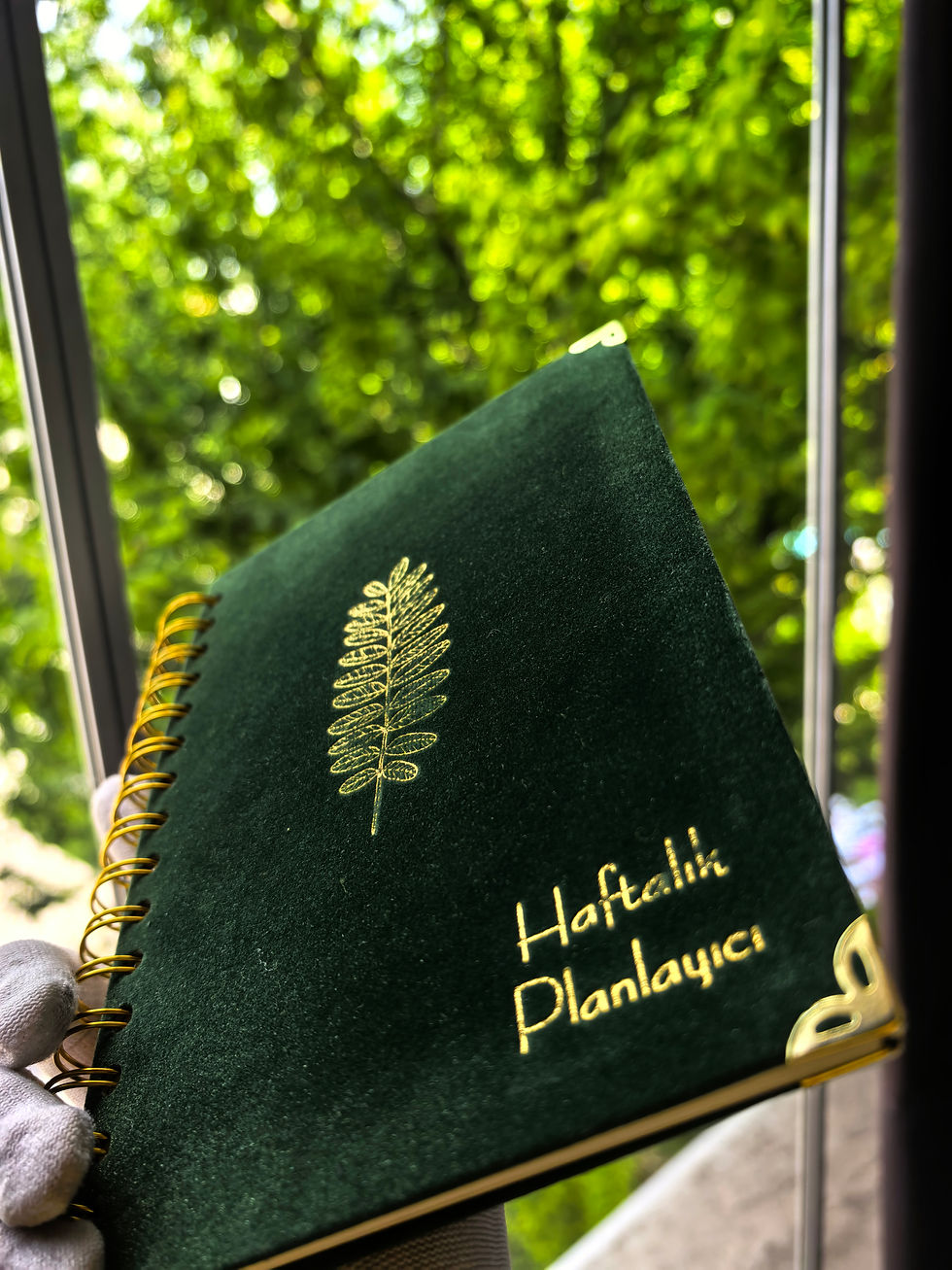 الصورة المصغرة: haftalık planlayıcı