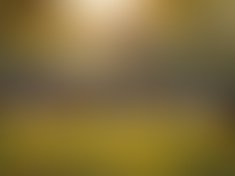 Faith and Governance: A Path to Global Peace