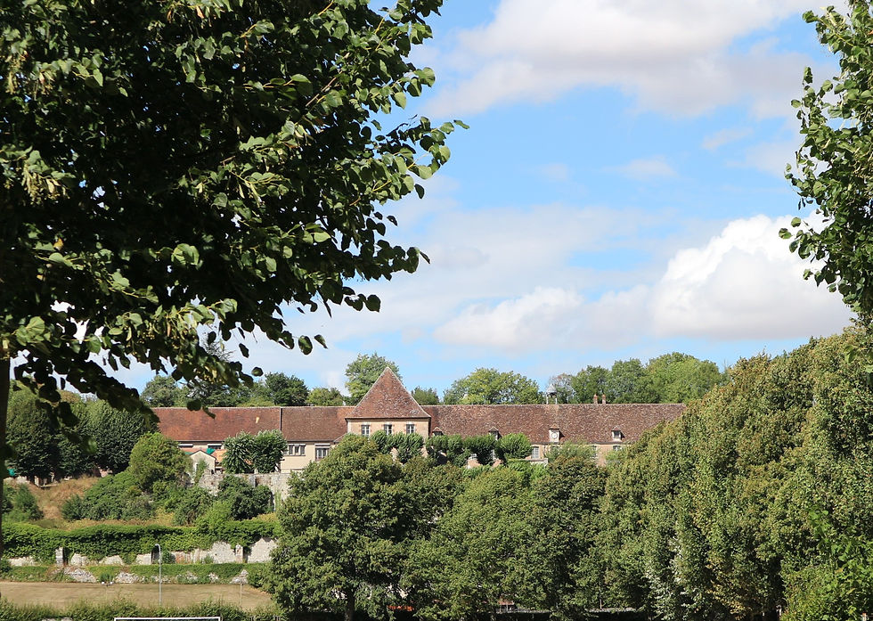 Cité Médiévale De Provins  (38)
