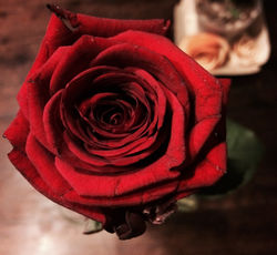 Fêté Des Méres (5)