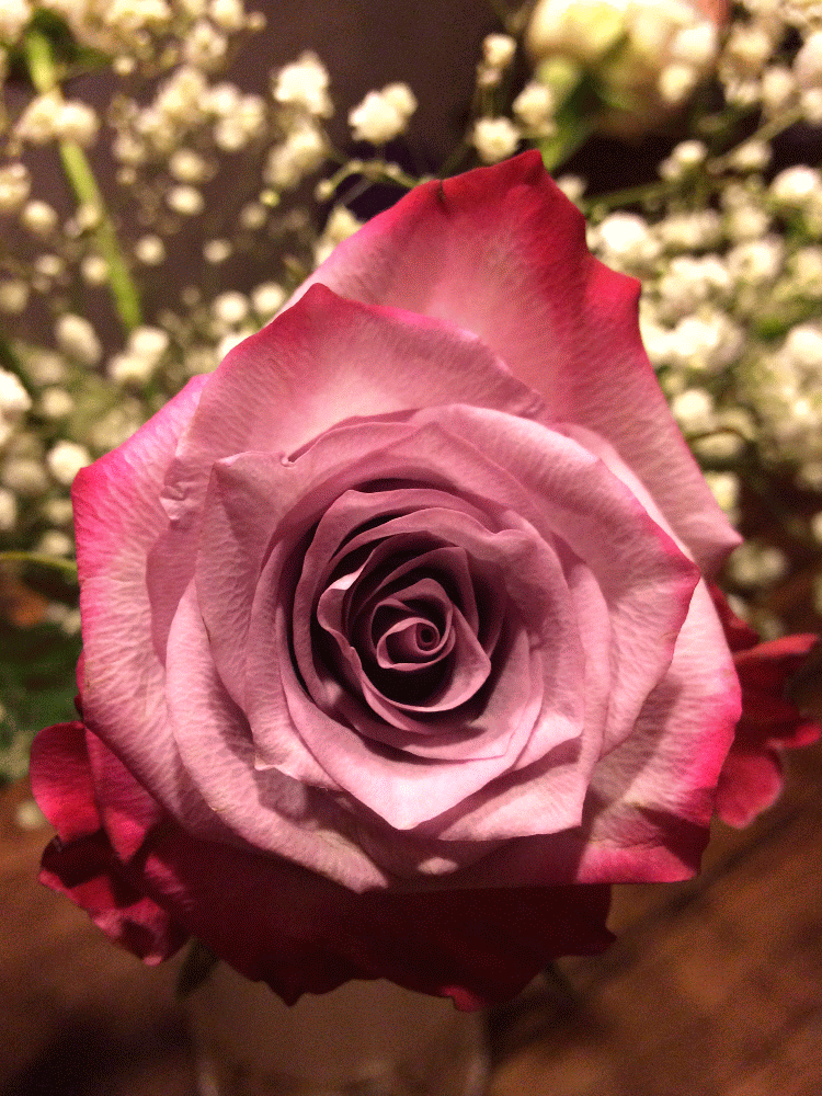 Photographies Fr M F (7)