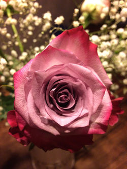 Photographies Fr M F (64)