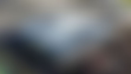 The Salvos and climate change 