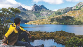 Do we need rewilding?