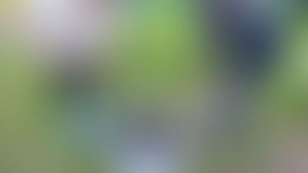 Marshmallows around the fire with Jesus