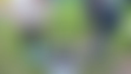 Marshmallows around the fire with Jesus