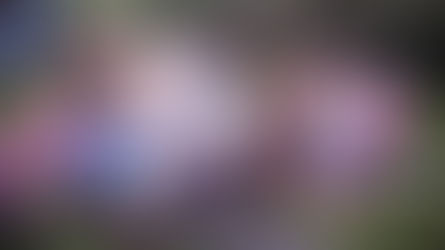 Amelie’s answer to prayer – at 10,000m in the air