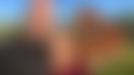 Steeles swap helicopter for a 4WD in new rural ministry adventure