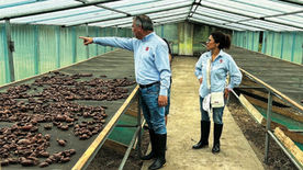 Changing lives and communities in Peru, Cuba and Latvia