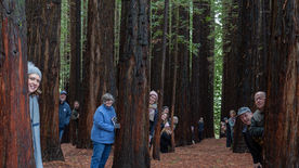 Prayer walk through ‘God’s Cathedral’