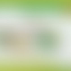 Visuel d'un panneau illustré sur la phytoépuration
