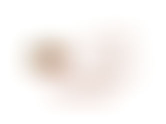 ΟΔΕΥΟΝΤΑΣ ΠΡΟΣ ΤΙΣ ΚΑΛΠΕΣ