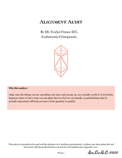 Alignment Audit.png