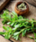Fresh purslane stems with small rounded leaves laid on a rustic wooden surface beside a small wooden bowl of dried purslane
