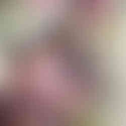 Lotus Ministry Trust Relief Recipient