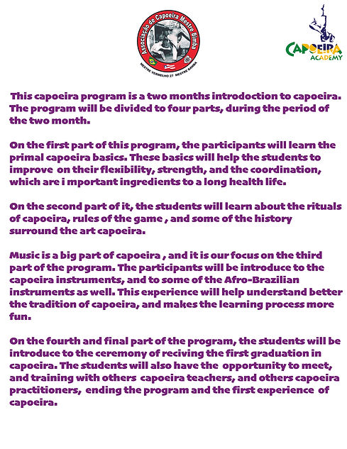 capoeira program.jpg