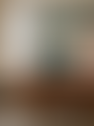 Chicago Real Estate News: Spring Market Is Heating Up — and So Are the Property Tax Complaints