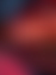 Magnificent Mile's Vacancy Woes: A Closer Look at the Numbers