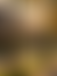 Top 10 Up-and-Coming Chicago Suburbs for Real Estate Investors in 2026