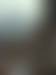 George Lucas's Latest Blockbuster: A Record-Breaking River North Penthouse